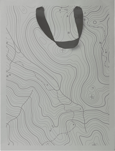 Пакет подарочный Пакетико Country 22.7х18х10 см, дизайн в ассортименте