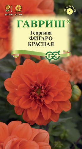 

Семена ГАВРИШ Георгина Фигаро, красная, Арт. 1071857504, 7шт