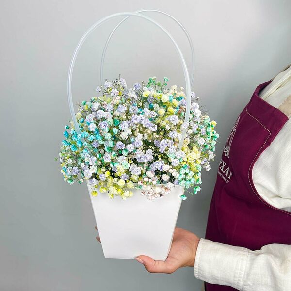 Букет из цветов, монобукет из гипсофилы Радуга в сумочке 