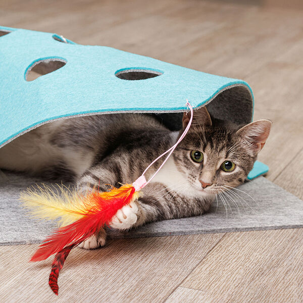 Игрушка для кошек Игровой коврик, 45 см