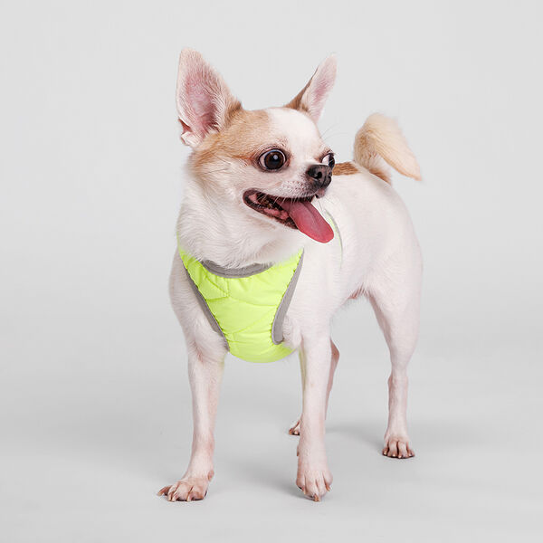 Шлейка Rurri желтая со светоотражающей лентой XS