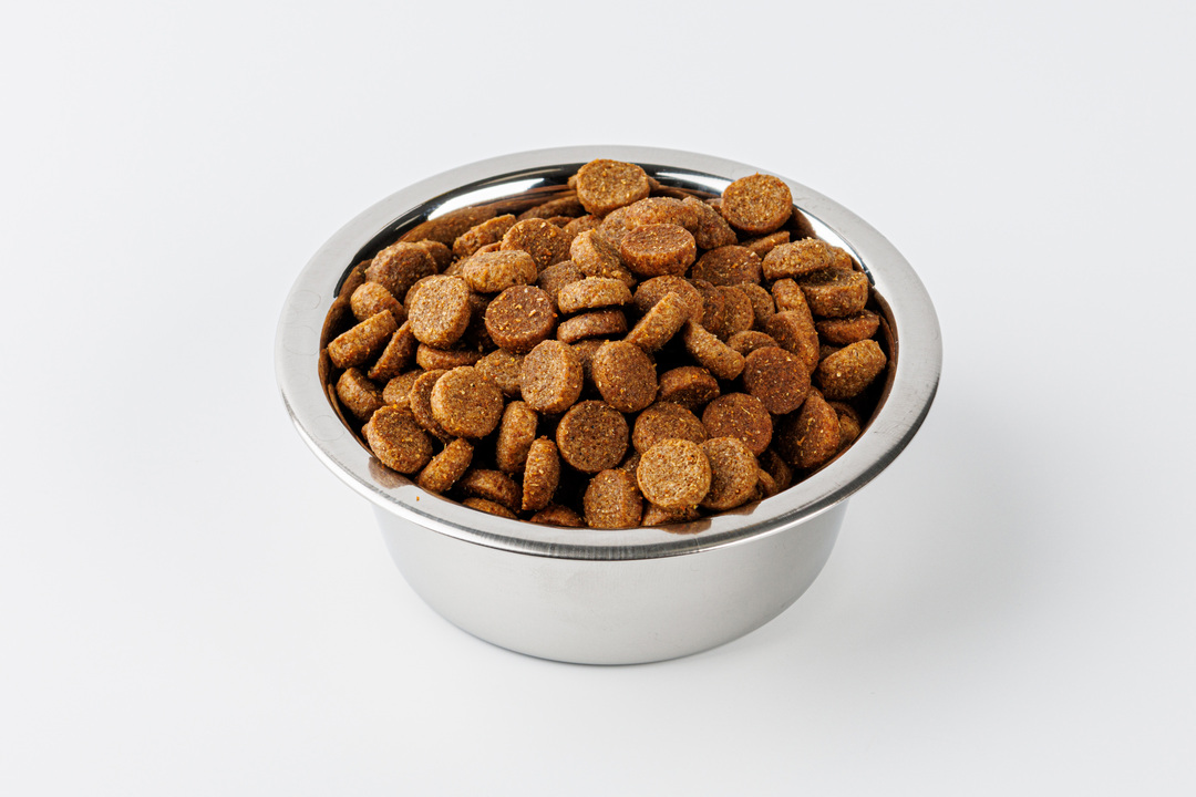 

Сухой корм для собак Bowl Wow для средних пород индейка, курица, рис и свекла, 2 кг