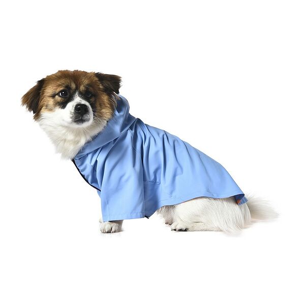 Дождевик для собак FOXIE Rainbow S (длина спины 30см, обхват груди 42-46см) разноцветный