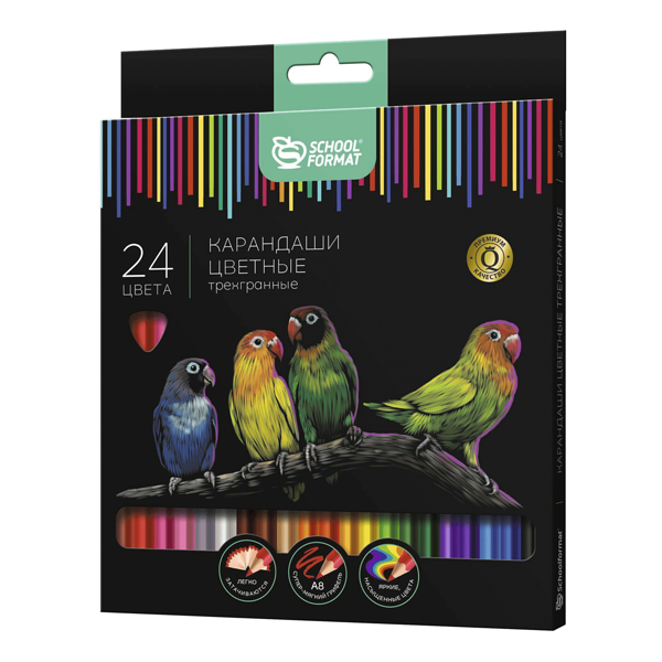 Карандаши цветные SchoolFormat 24 цвета, дизайн упаковки в ассортименте