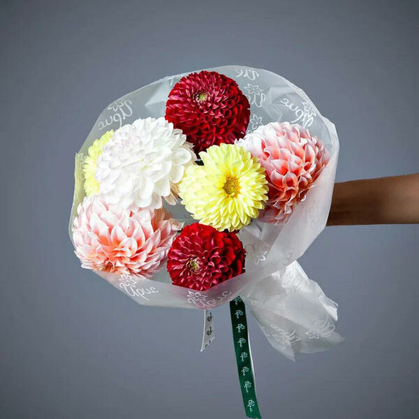 Монобукет из 7 георгинов микс в упаковке