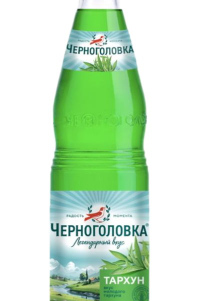Напиток газированный Напитки из Черноголовки Тархун 0,5л