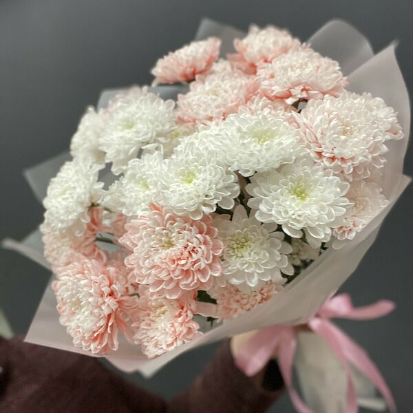 Моно из нежных хризантем #44