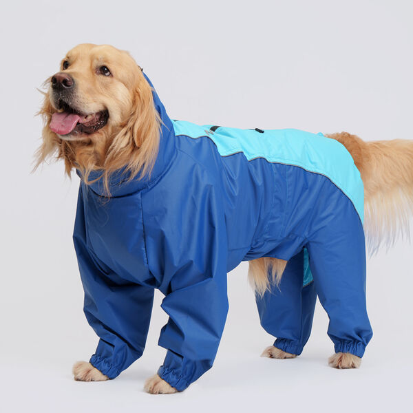 Rungo Дождевик Лабрад-ретривер, Хаски мальчик голубой неон