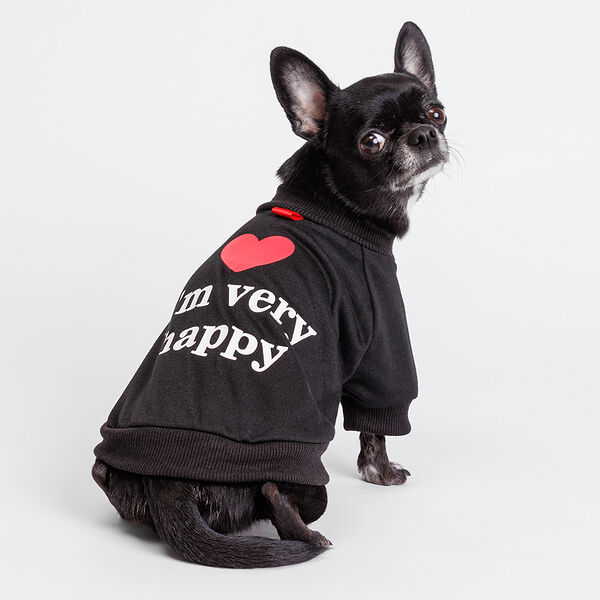 Petmax Футболка черная Happy M