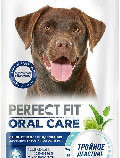 Лакомство Perfect Fit Для поддержания здоровья зубов и полости рта с говядиной и мятой для собак средних и крупных пород 130г