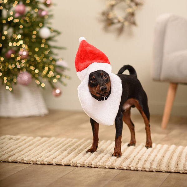 Колпак новогодний с бородой для собак, 26 см