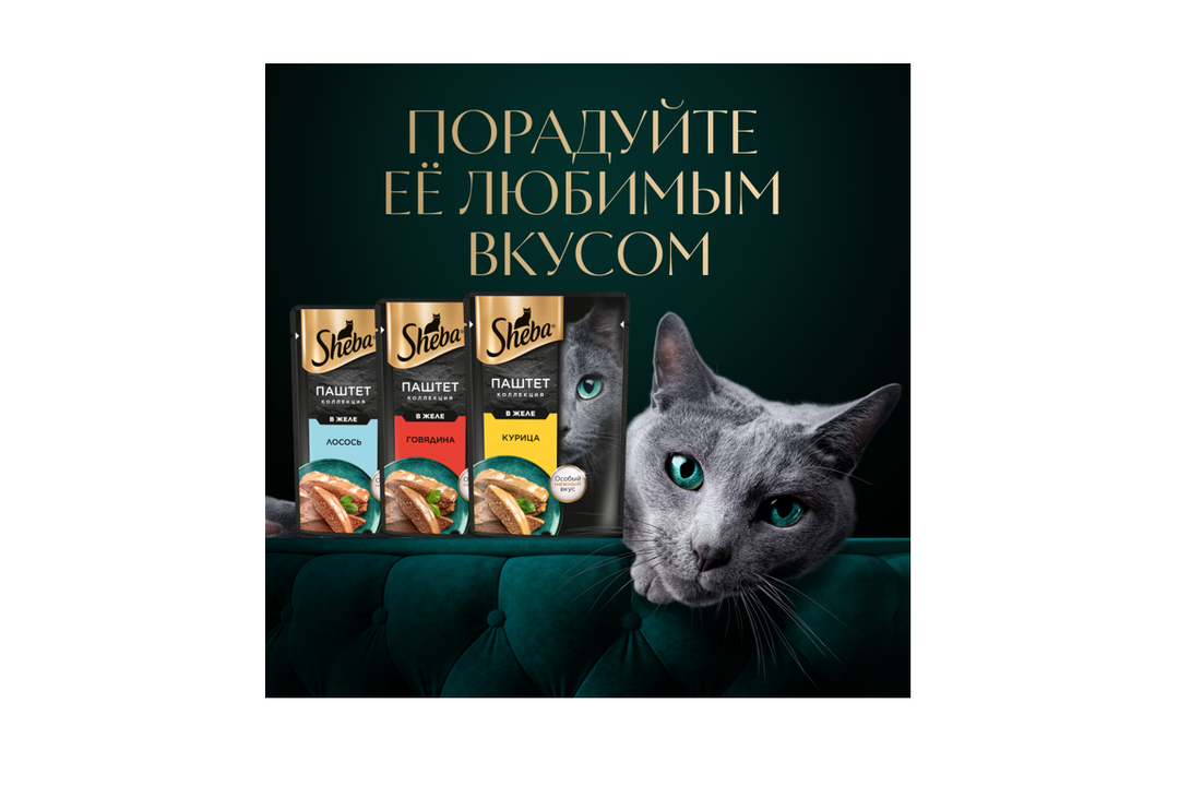 

Влажный корм для кошек Sheba паштет с курицей 75 г