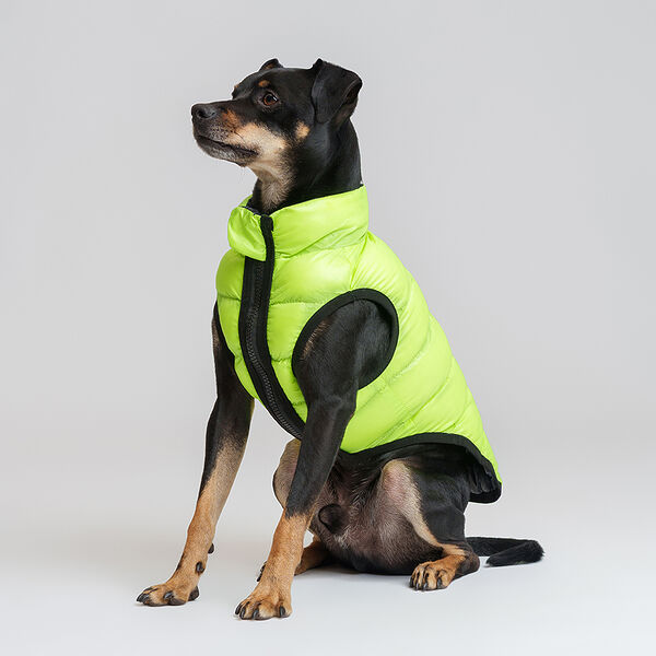 Куртка черно-салатовая двухсторонняя XL