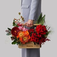 Изображение 5
