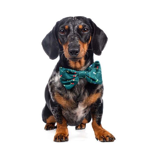 Галстук-бант для собак зеленый светящийся Led