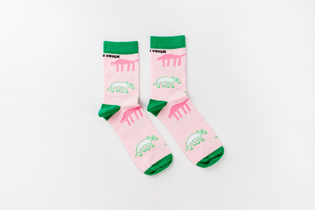 

Носки "Дино" Простые вещи р. 43-45