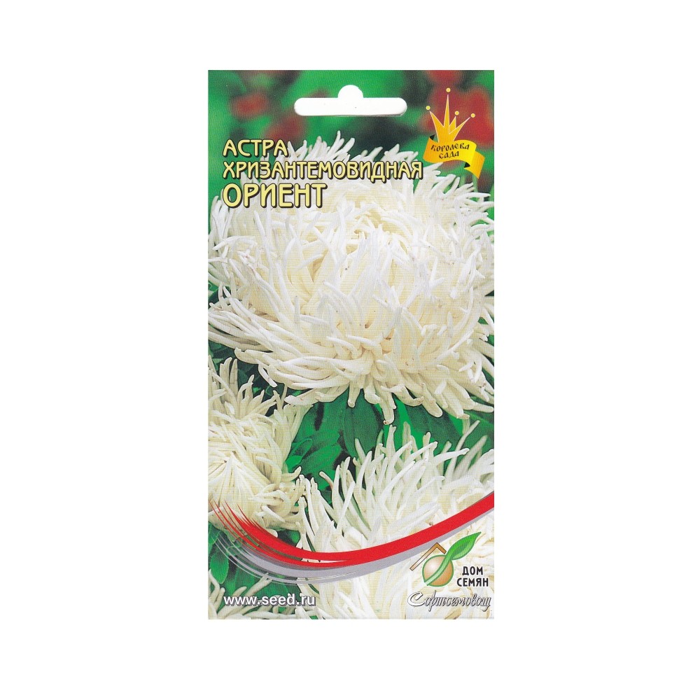 

Семена Дом семян Астра хризантемовидная Ориент