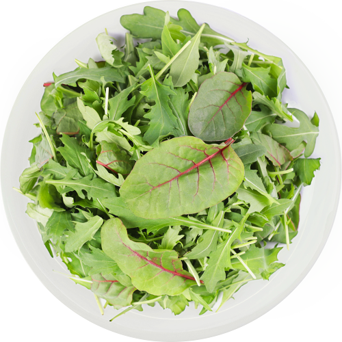 Салатный Микс Руккола Мангольд Мизуна, 75г