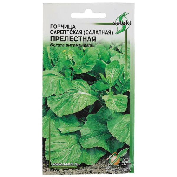 Семена горчица салатная Прелестная
