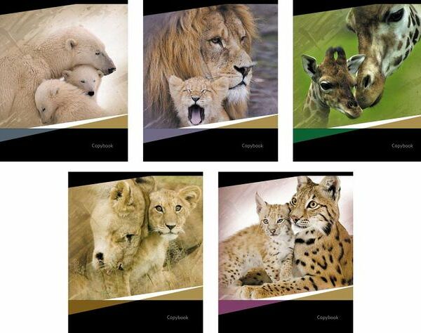 Тетрадь 48 листов, клетка ТМ Erich Krause (Эрих Краузе)