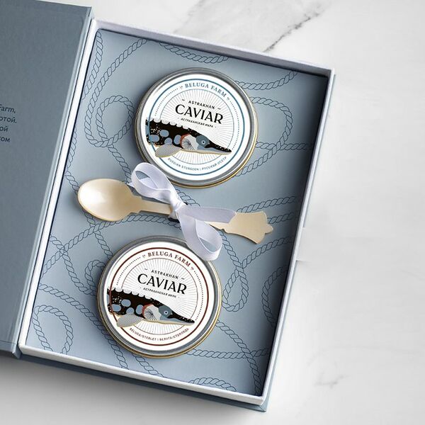 Книга-коллекция 