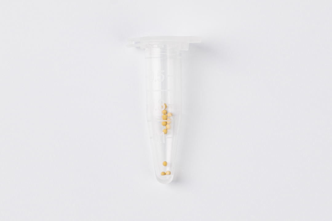 

Семена Поиск агрохолдинг Петуния махровая Дабл каскад Валентин 10 шт. 3 г