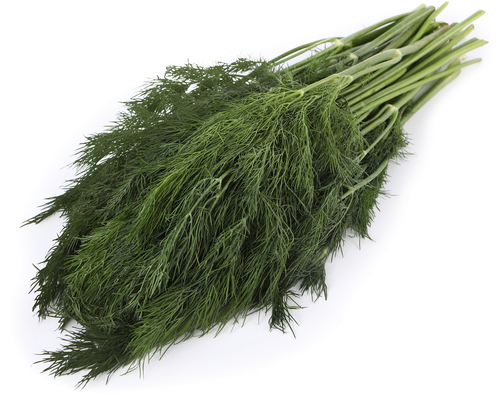 

Укроп свежий, 180г