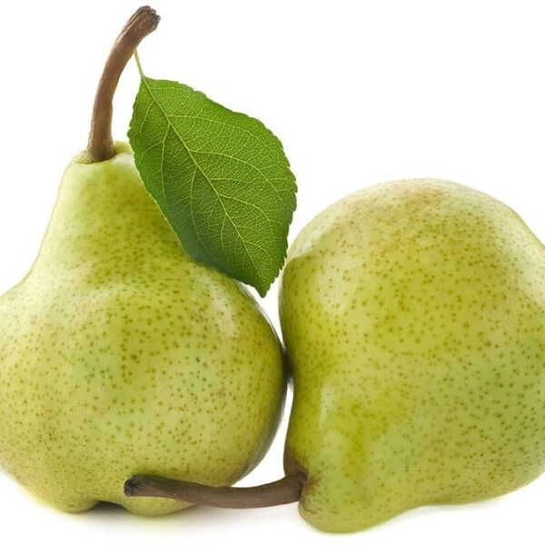 Груша лесная красавица