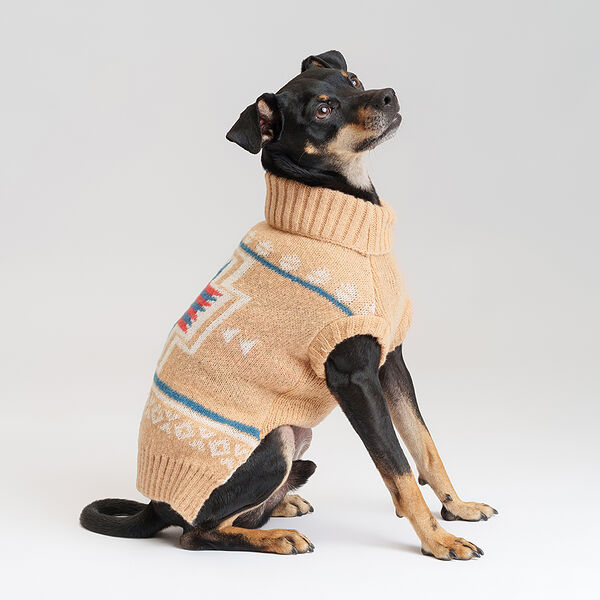 Свитер для собак Petmax бежевый с узором XL