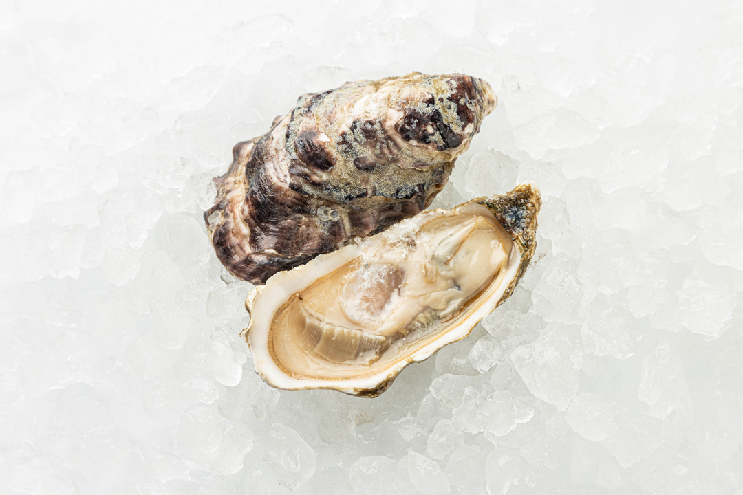 

Устрица живая ВкусВилл Намибия 60 г