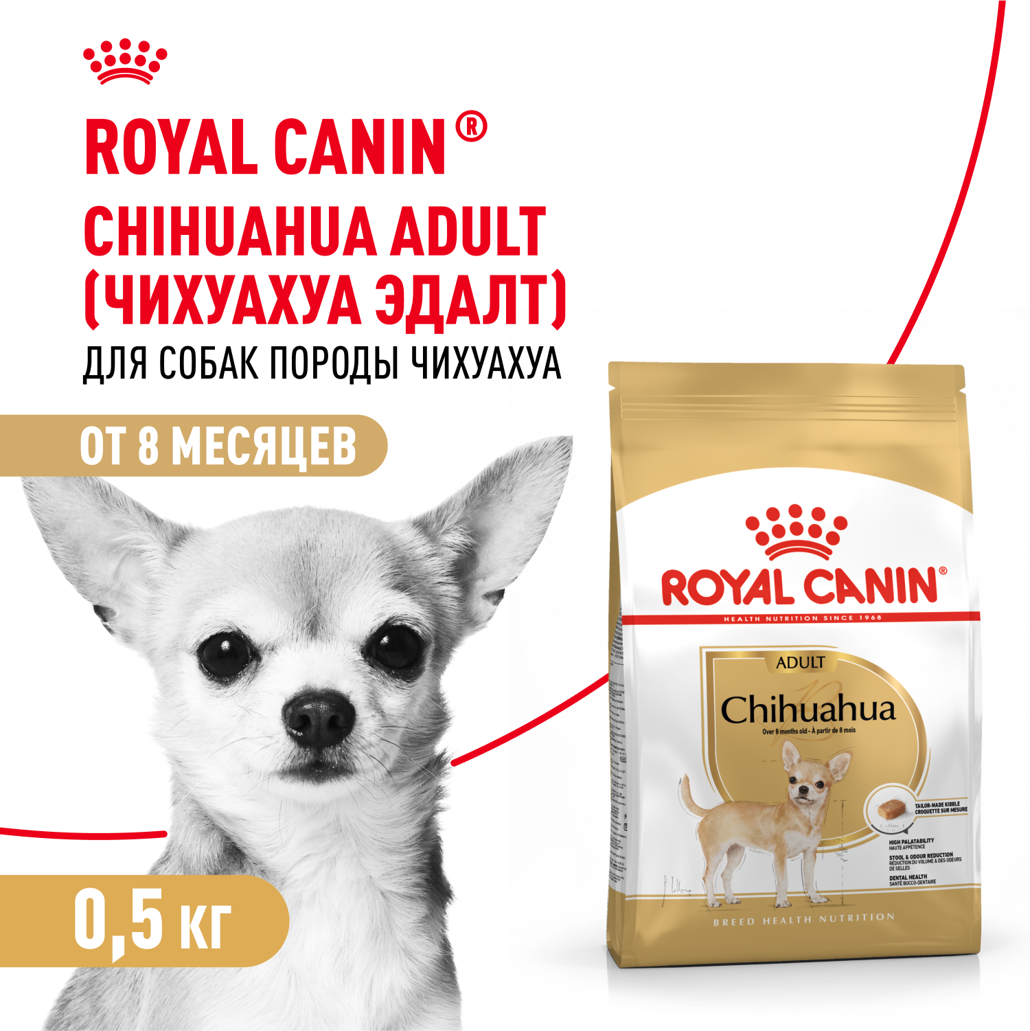 

Сухой корм Royal Canin Chihuahua Adult для собак чихуахуа с 8 месяцев 500 г