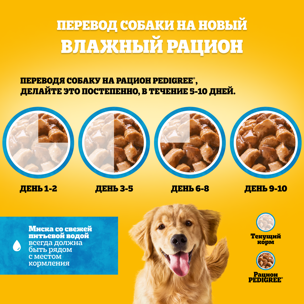 

Влажный корм Pedigree для собак, телятина и печень в желе 85 г