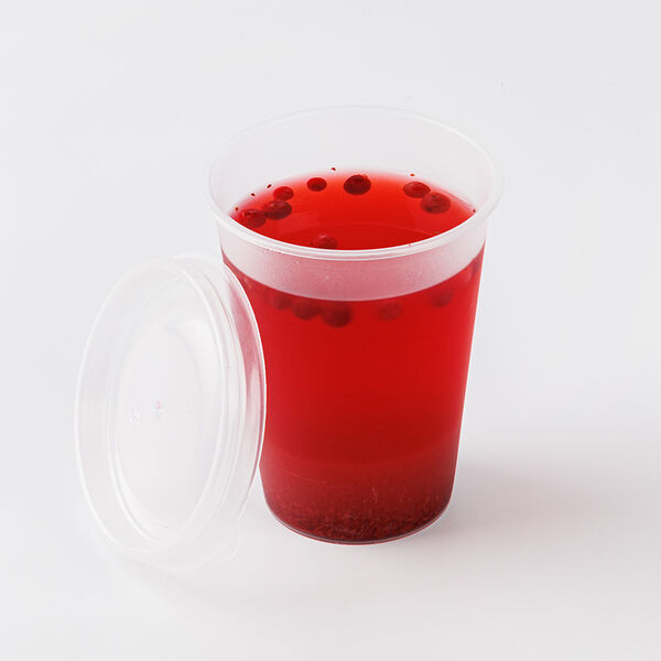 Чай Хвойный с брусникой 300 мл