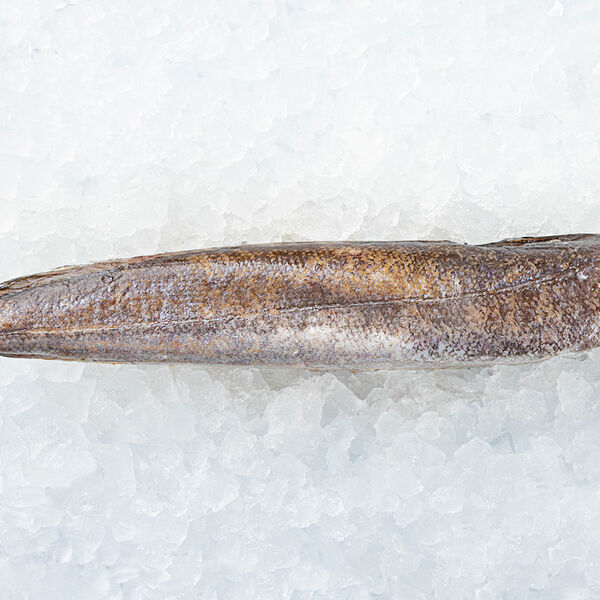 Хек тушка замороженная