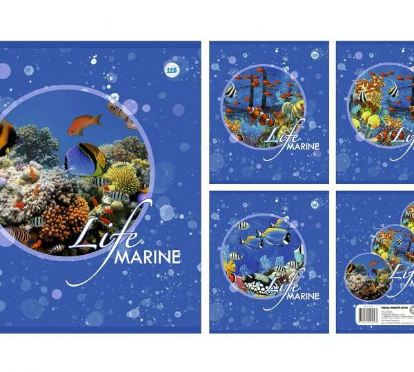 Тетрадь общая клетка 96л серия Морское королевство №143-23