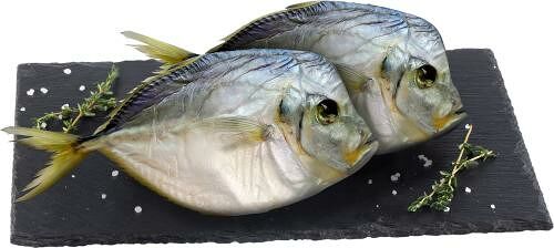 Вомер Океан с головой вяленный весовой