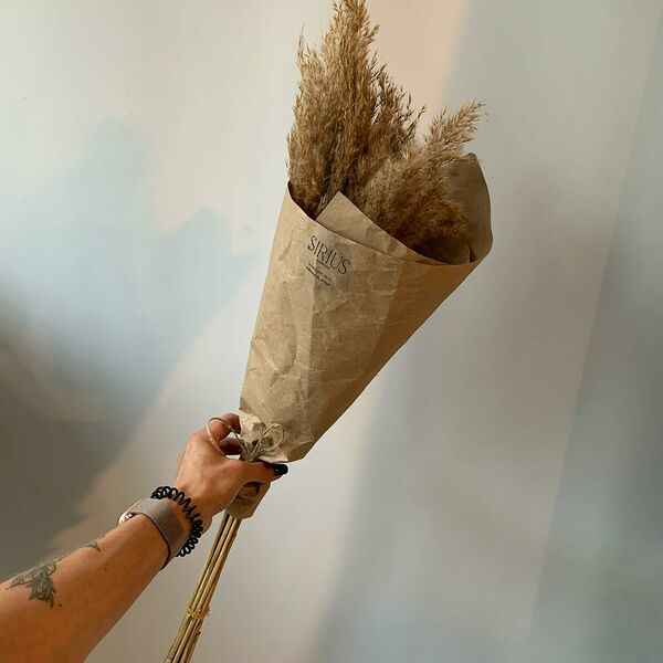 Букетик из пампаса