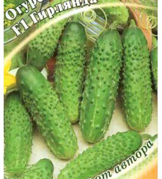 Семена Огурец Гавриш Гирлянда F1, 10 шт