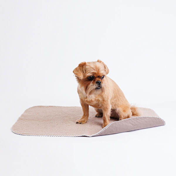 Плед двусторонний для кошек и собак, 70х50 см, серый