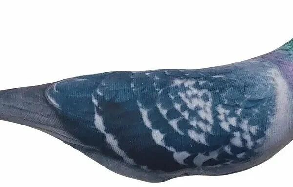 Игрушка Fancy Pets Голубь для кошек