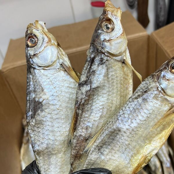 Вобла вяленая