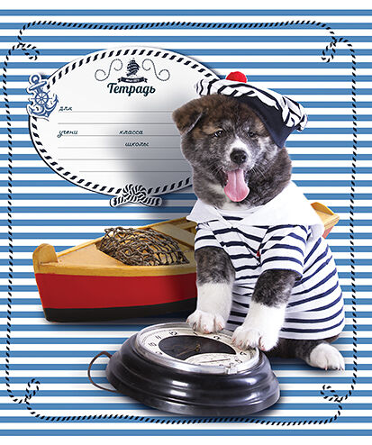 Тетрадь ПЗБМ Морячок ученическая в клетку 18л, цвет в ассортименте, 1шт