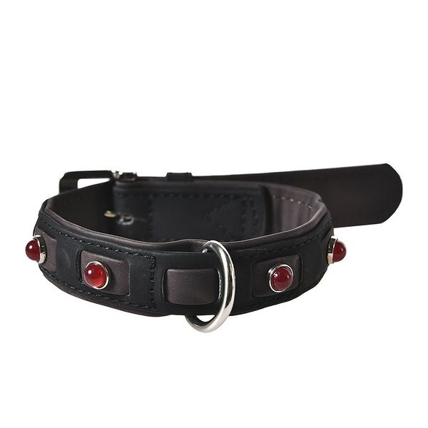 Ошейник для собак FOXIE Jewel M 2,0х35-50см черный