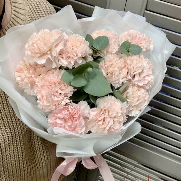 Нежный стойкий диантус