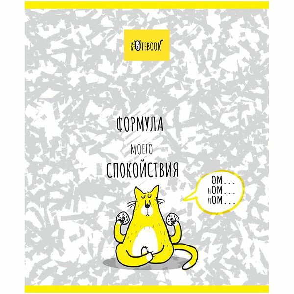 Тетрадь общая ПЗБМ Формула кота, А5 48 листов в клетку на скрепке, Арт. 27476 в ассортименте