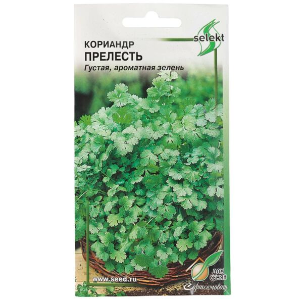 Семена кориандр Прелесть