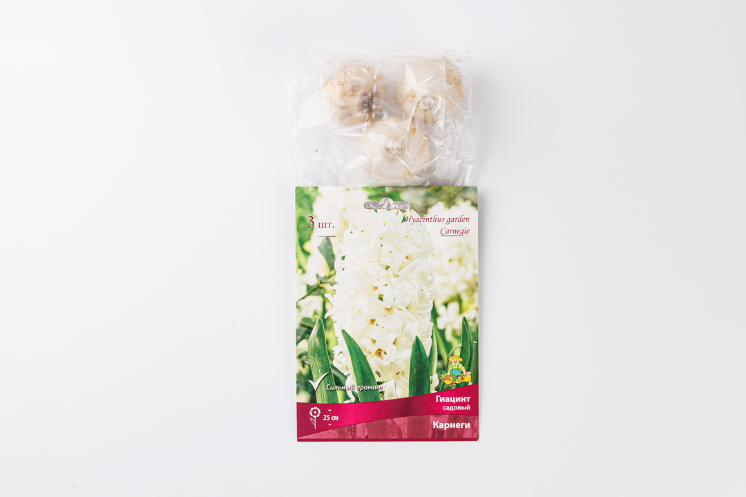 

Луковицы Гиацинт Поиск садовый "Карнеги" в капере 3 шт.