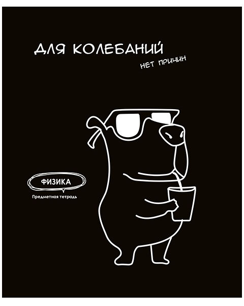 Тетрадь PROF-PRESS Физика. Подслушано, 48 листов, в клетку, Арт. Т48-1465
