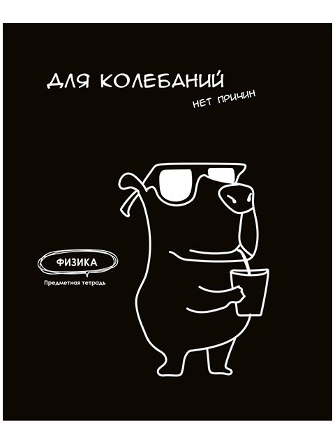 

Тетрадь PROF-PRESS Физика. Подслушано, 48 листов, в клетку, Арт. Т48-1465