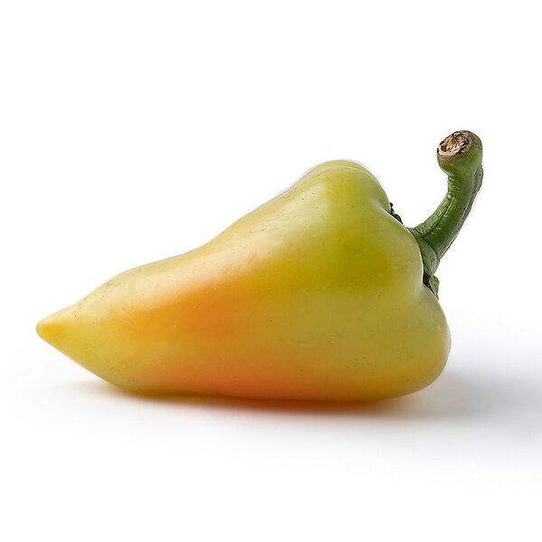 Перец грунтовой